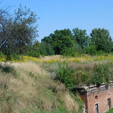 بيت شباب Luneta Warszawska *