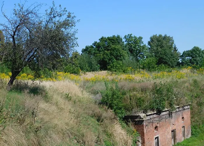بيت شباب Luneta Warszawska *