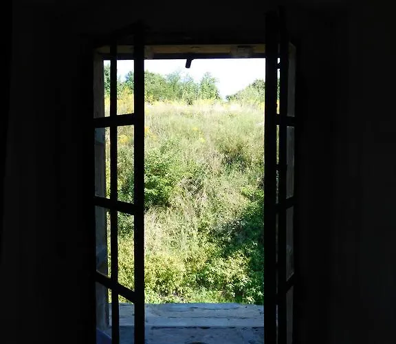 بيت شباب Luneta Warszawska